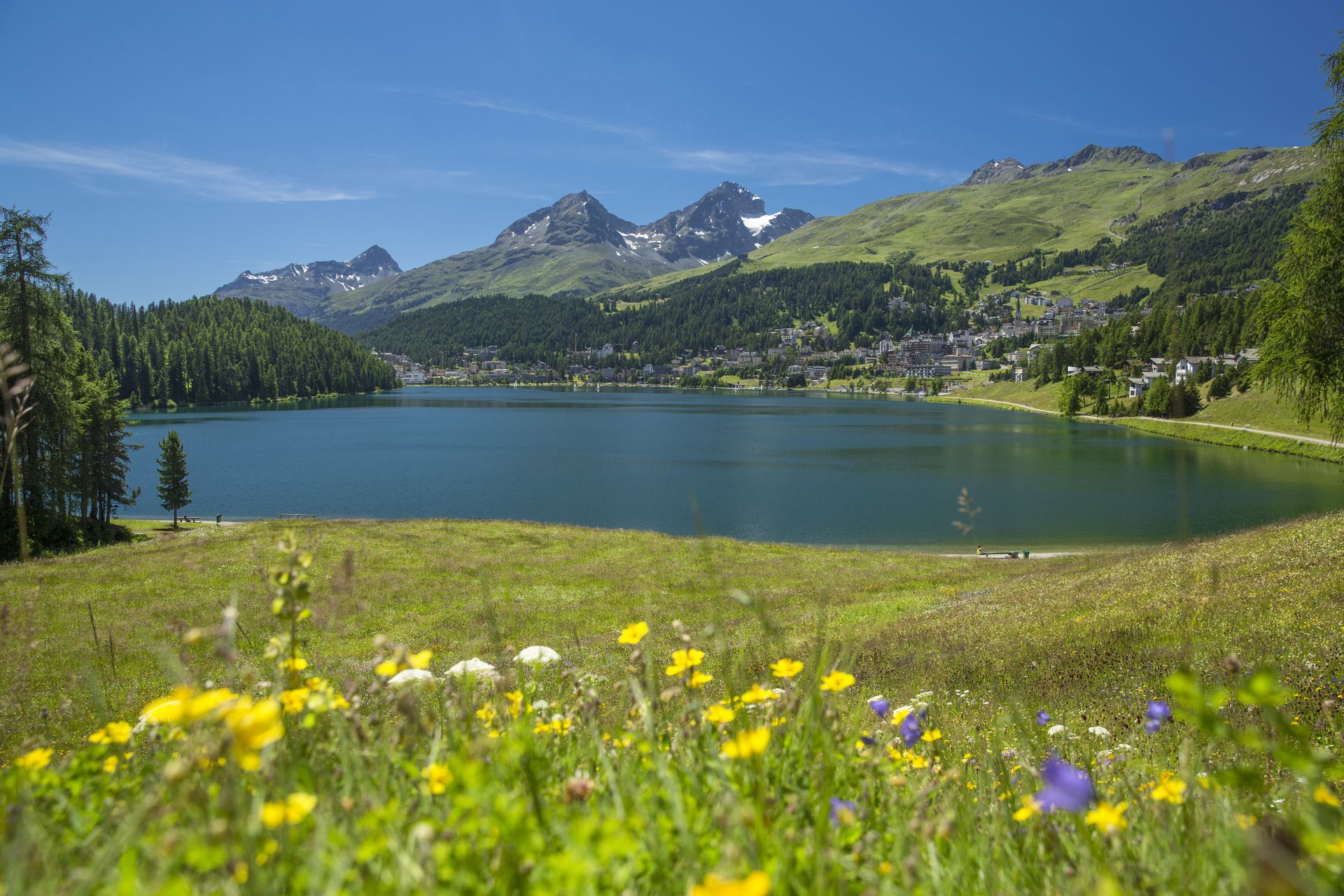 StMoritz_Sommer_esm1211_Christof_Sonderegger_swiss-image_ch.jpg