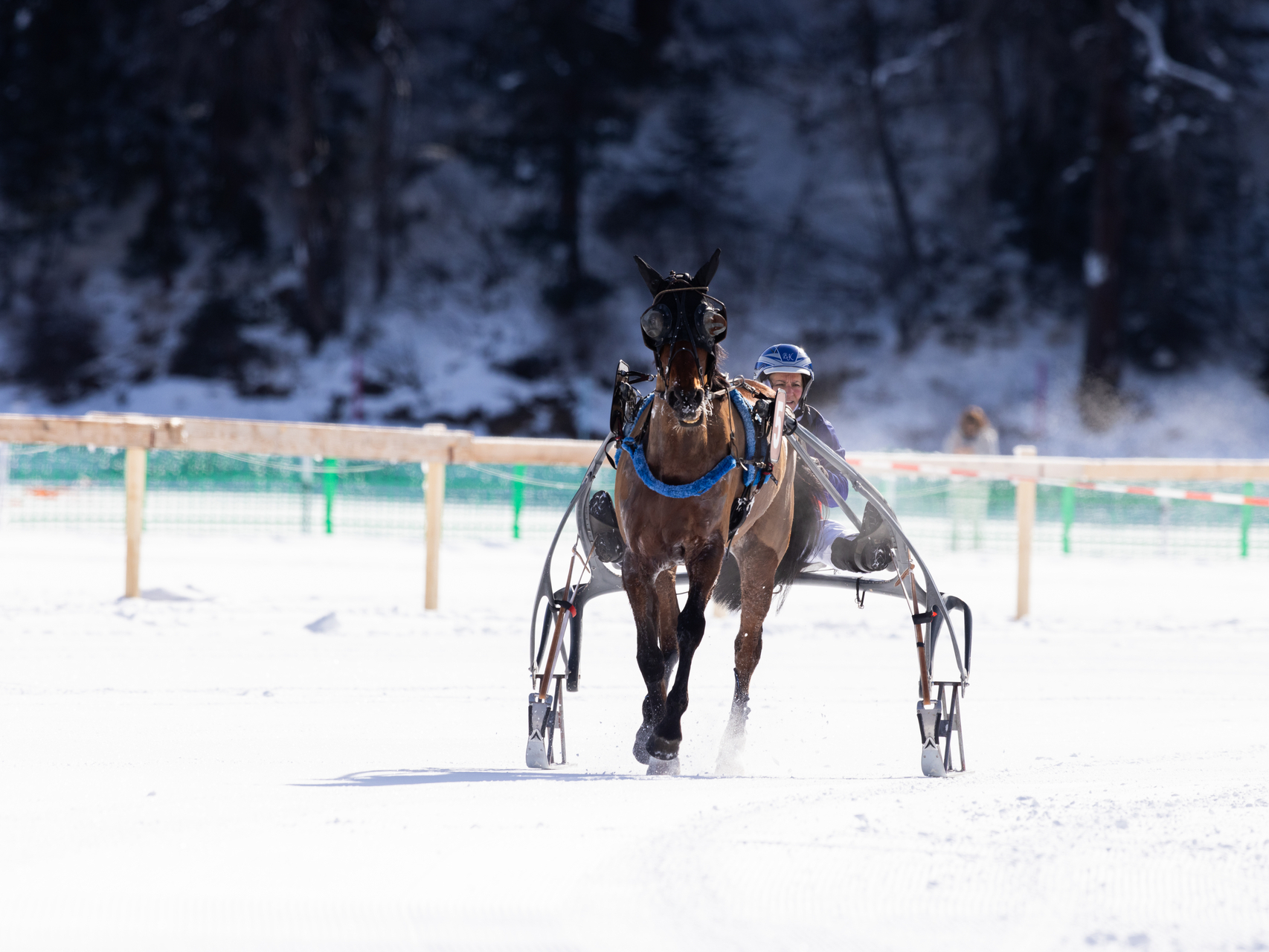8.02.2026_whiteturf_A.Furger-6.jpg