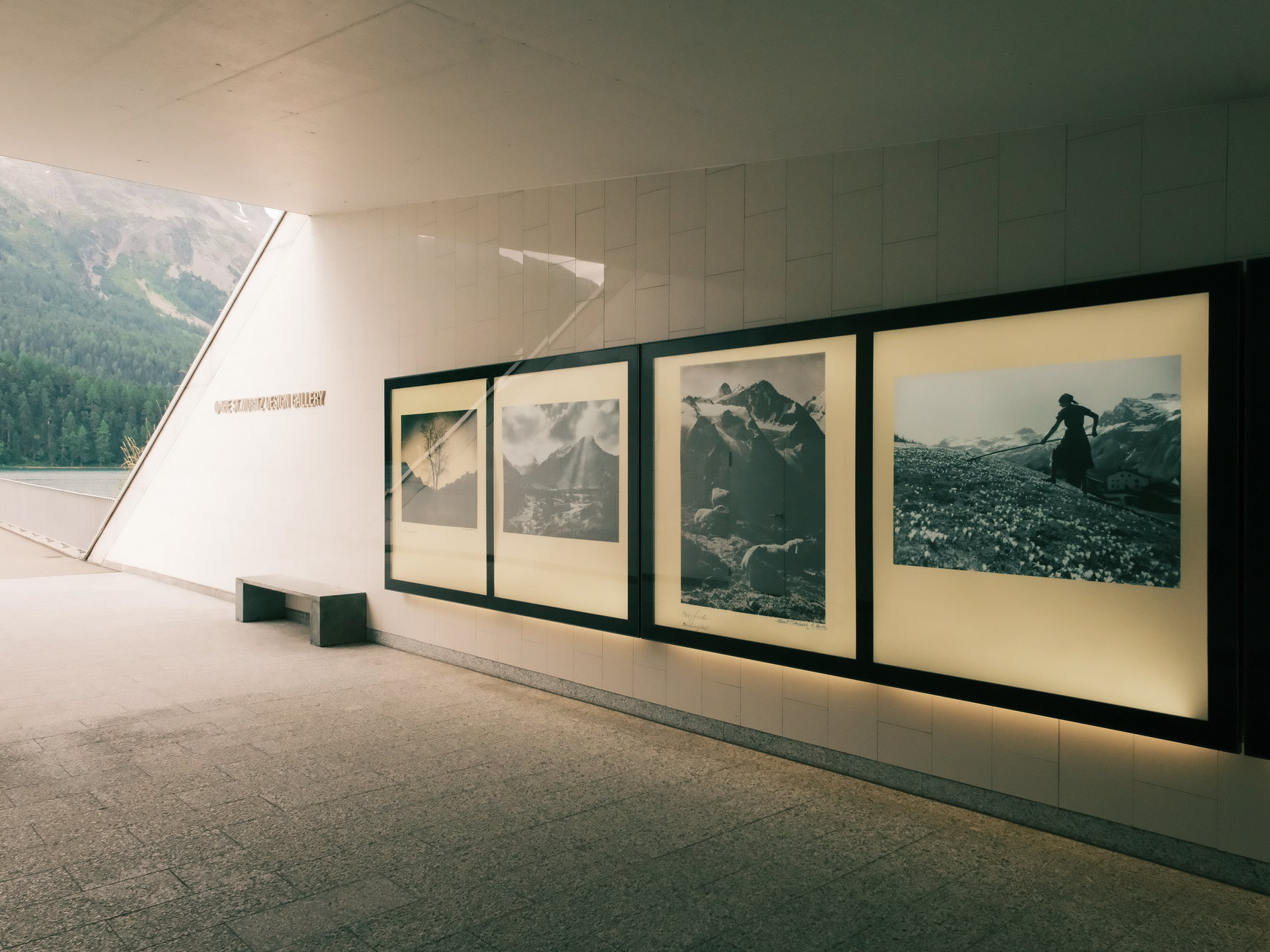 IMG_6726.jpg