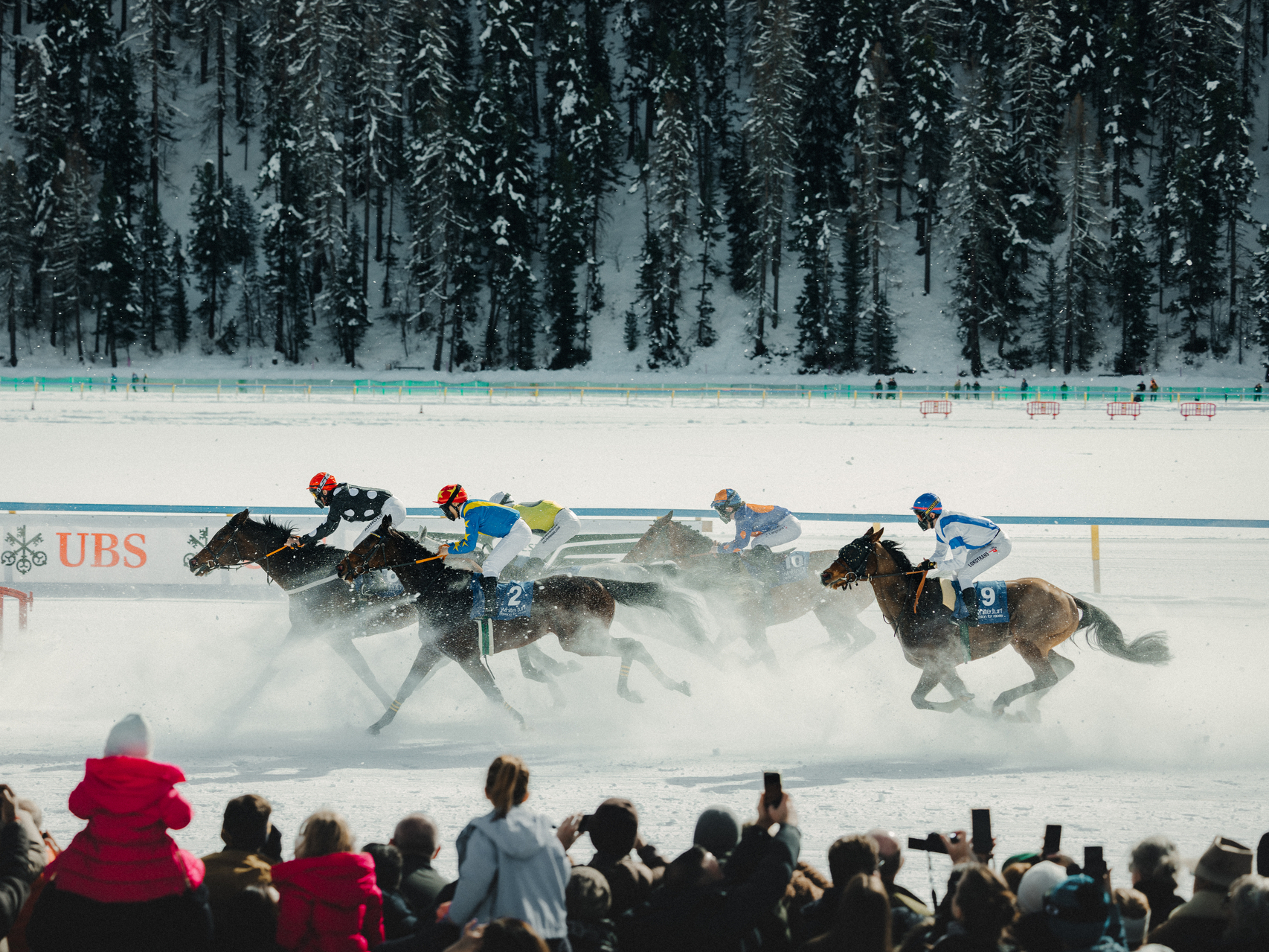 Travis_Kauffman_-_St._Moritz_2025_-_White_Turf___Ski-8139.jpg
