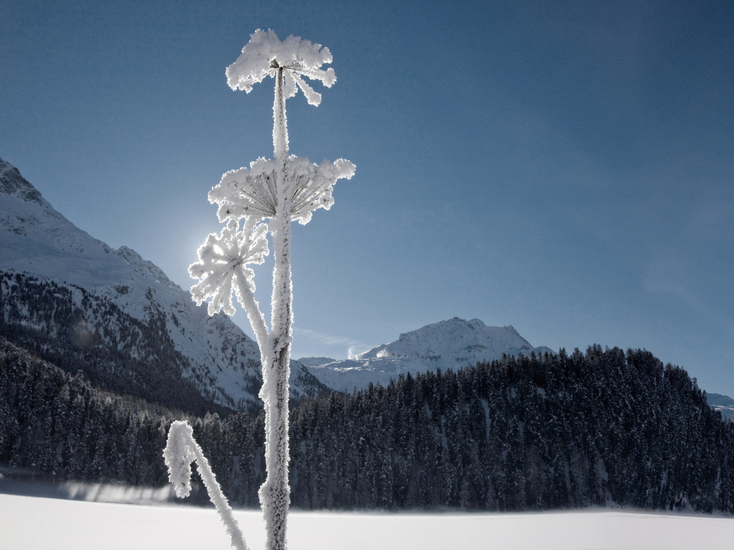 StMoritz_Winterlandschaft_esm0133_Christof_Sonderegger_swiss-image_ch.jpg